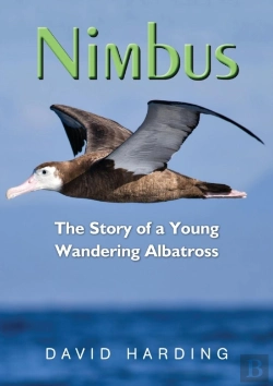 Bertrand.pt - Nimbus
