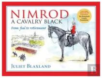 Nimrod: A Cavalry Black