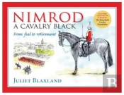 Nimrod: A Cavalry Black