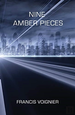 Bertrand.pt - Nine Amber Pieces