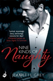 Nine Kinds Of Naughty: Art Of Passion 3
