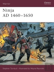 Ninja Ad 1460â€“1650