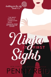 Ninja At First Sight: A First Love Roman
