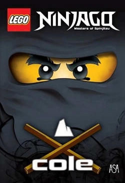 Bertrand.pt - Ninjago - Cole