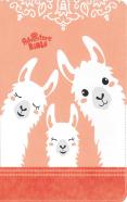 Nirv, Adventure Bible For Early Readers, Leathersoft, Coral, Full Color, Thumb Indexed Tabs