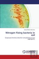 Nitrogen Fixing Bacteria In Soil