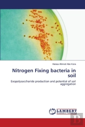 Nitrogen Fixing Bacteria In Soil