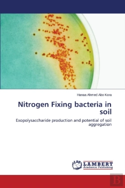 Bertrand.pt - Nitrogen Fixing Bacteria In Soil