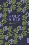 Niv Holy Bible (Hodder Classics)