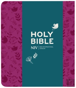 Bertrand.pt - Niv Journalling Plum Soft-Tone Bible With Clasp