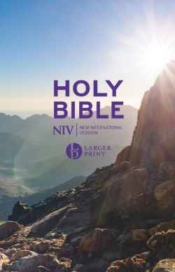 Bertrand.pt - Niv Larger Print Personal Value Hardback Bible