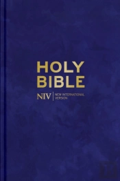 Niv Larger Print Personal Velvet Bible