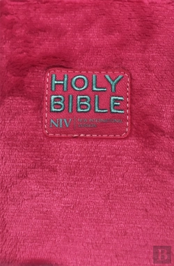 Bertrand.pt - Niv Pocket Fluffy Bible