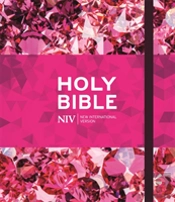 Niv Ruby Journalling Bible