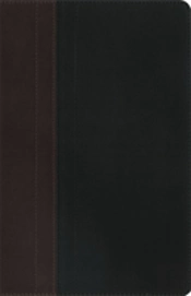 Niv Study Bible Brown/Tan Duo-Tone Personal Size