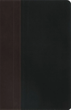 Bertrand.pt - Niv Study Bible Brown/Tan Duo-Tone Personal Size