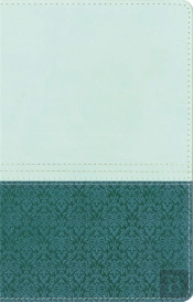 Niv Study Bible Sea Glass/Caribbean Duo-Tone Personal Size