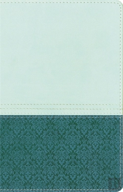Bertrand.pt - Niv Study Bible Sea Glass/Caribbean Duo-Tone Personal Size