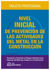 Nivel Inicial De Prevención De Las Actividades Del Metal En La Construcción