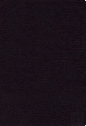 Nkjv, Cultural Backgrounds Study Bible