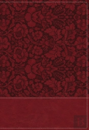 Nkjv, Wiersbe Study Bible, Leathersoft, Burgundy, Indexed, Comfort Print