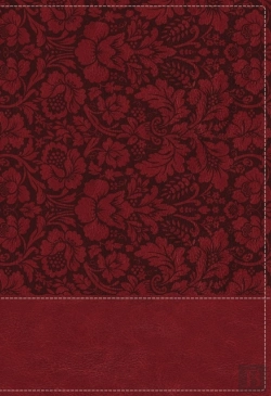 Bertrand.pt - Nkjv, Wiersbe Study Bible, Leathersoft, Burgundy, Indexed, Comfort Print