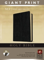 Nlt Holy Bible, Giant Print, Black, Indexed