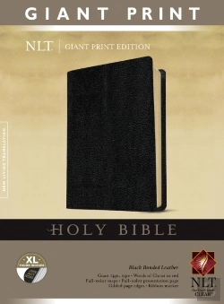 Bertrand.pt - Nlt Holy Bible, Giant Print, Black, Indexed