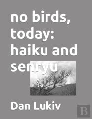 No Birds, Today