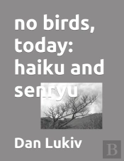 No Birds, Today