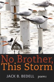 No Brother, This Storm