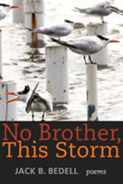 Bertrand.pt - No Brother, This Storm