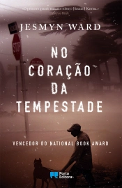 No Coração da Tempestade