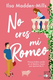 No Eres Mi Romeo