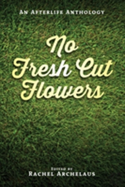 Bertrand.pt - No Fresh Cut Flowers