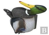No New Kind Of Duck