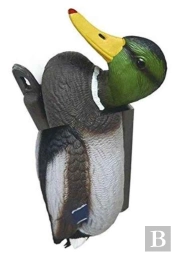 No New Kind Of Duck