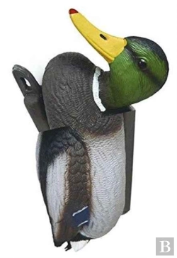 Bertrand.pt - No New Kind Of Duck