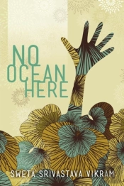No Ocean Here