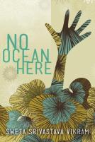No Ocean Here