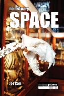 No Ordinary Space
