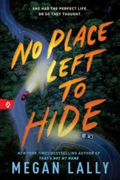 No Place Left To Hide