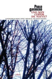 ¿No Son Copos De Nieve?
