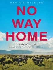 No Way Home
