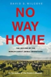 No Way Home