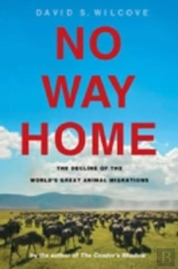 Bertrand.pt - No Way Home
