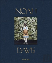 Noah Davis: In Detail