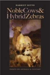 Noble Cows And Hybrid Zebras