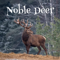 Bertrand.pt - Noble Deer, A No Text Picture Book