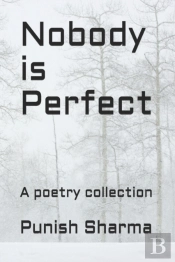 Nobody Is Perfect